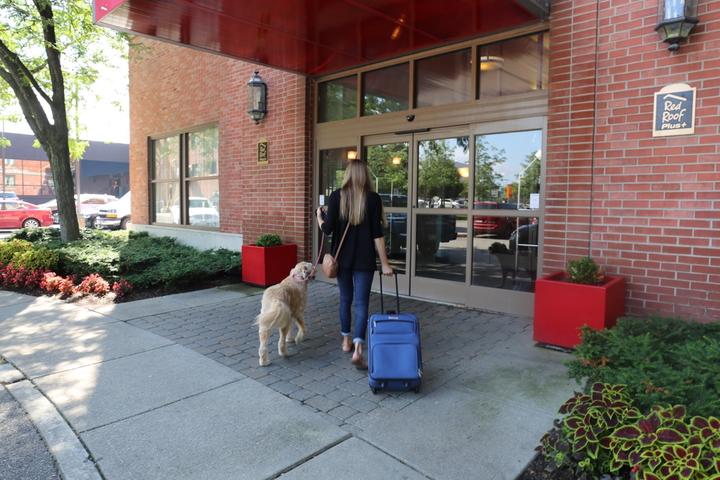 Learn all about Red Roof Inn's pet policy.