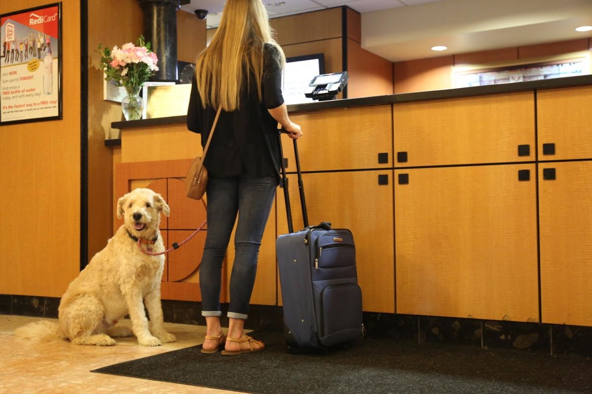 Red Roof Inn Pet Policy Bring Fido