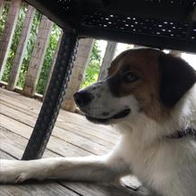 Riverside Cafe restaurant view 1