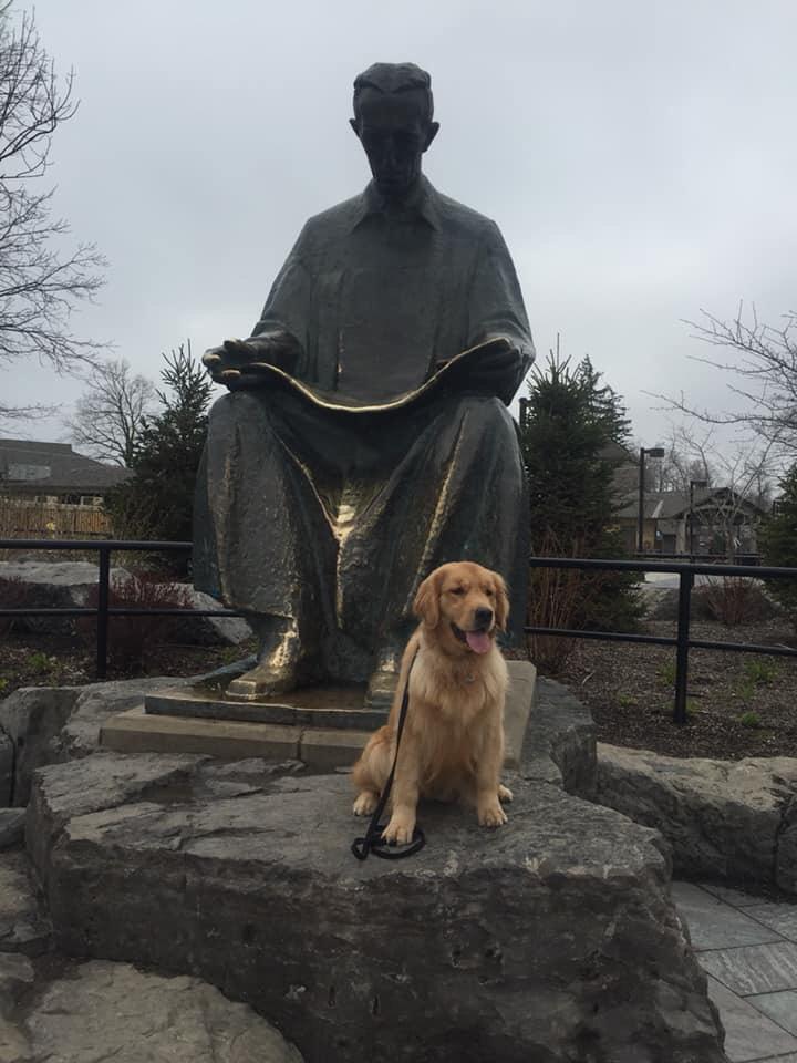 Dog Friendly Niagara Falls Ny Bring Fido