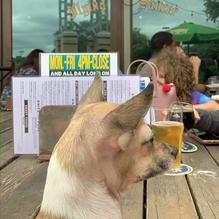 The Flying Saucer restaurant view 2