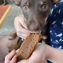 Studio One Cafe restaurant view 3