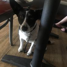 Tidewater Tavern restaurant view 1