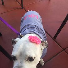 Cactus Jack's restaurant view 3