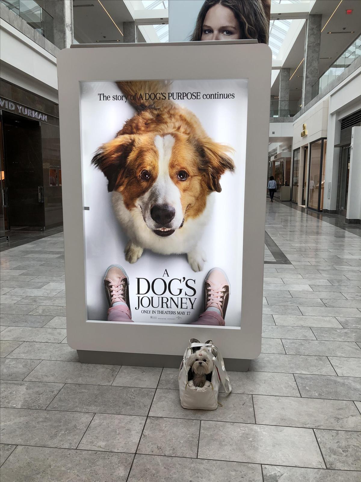 Scottsdale Fashion Square