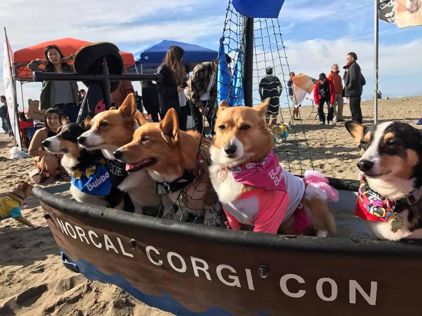Corgi Con is one of the cutest dog-friendly events in June. Corgi Con is one of the cutest dog-friendly events of the summer.
