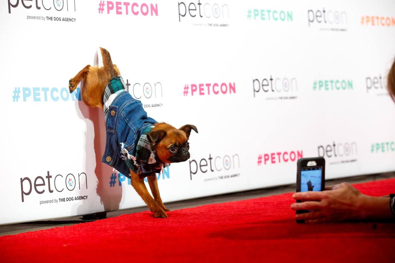 PetCon is one of the largest pet-friendly events of the month. PetCon is one of the largest pet-friendly events of the month.