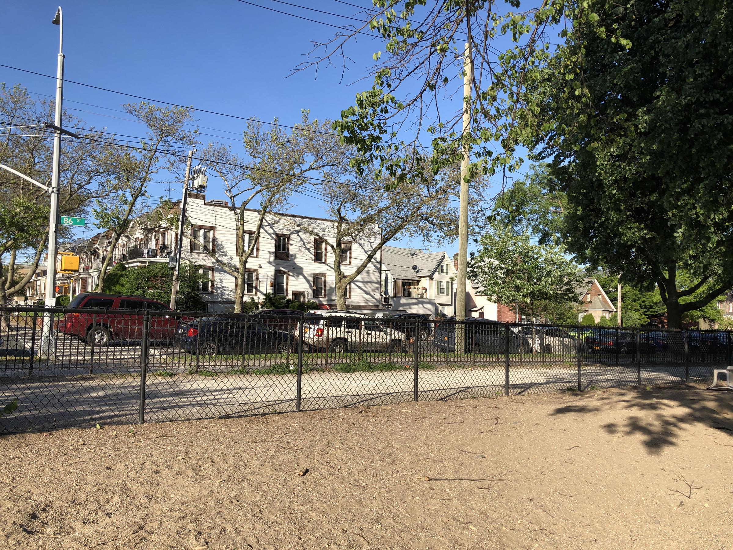 Dog Friendly Brooklyn Ny Bringfido