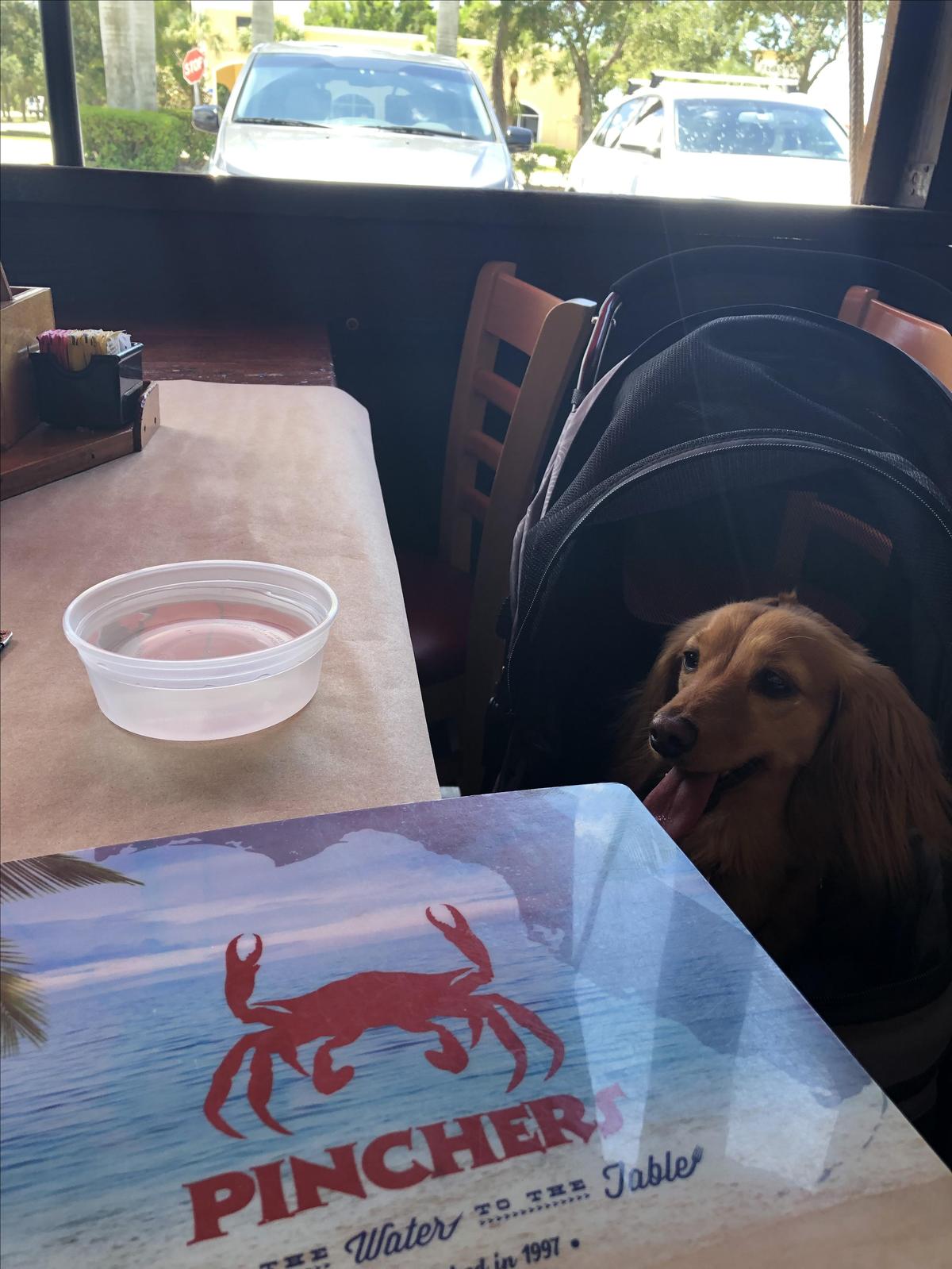 Pincher's Crab Shack restaurant view 2