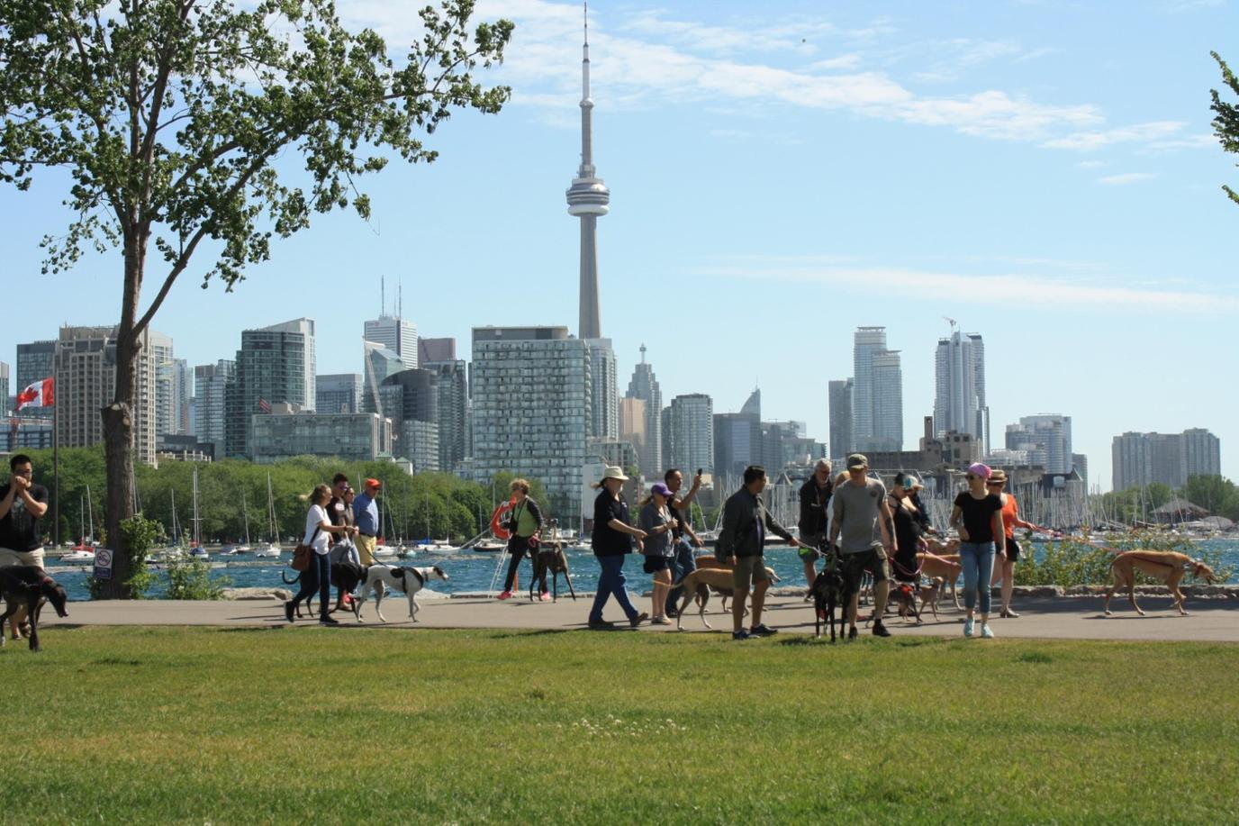 The Great Global Greyhound Walk The Great Global Greyhound Walk is a unique pet-friendly event in June.