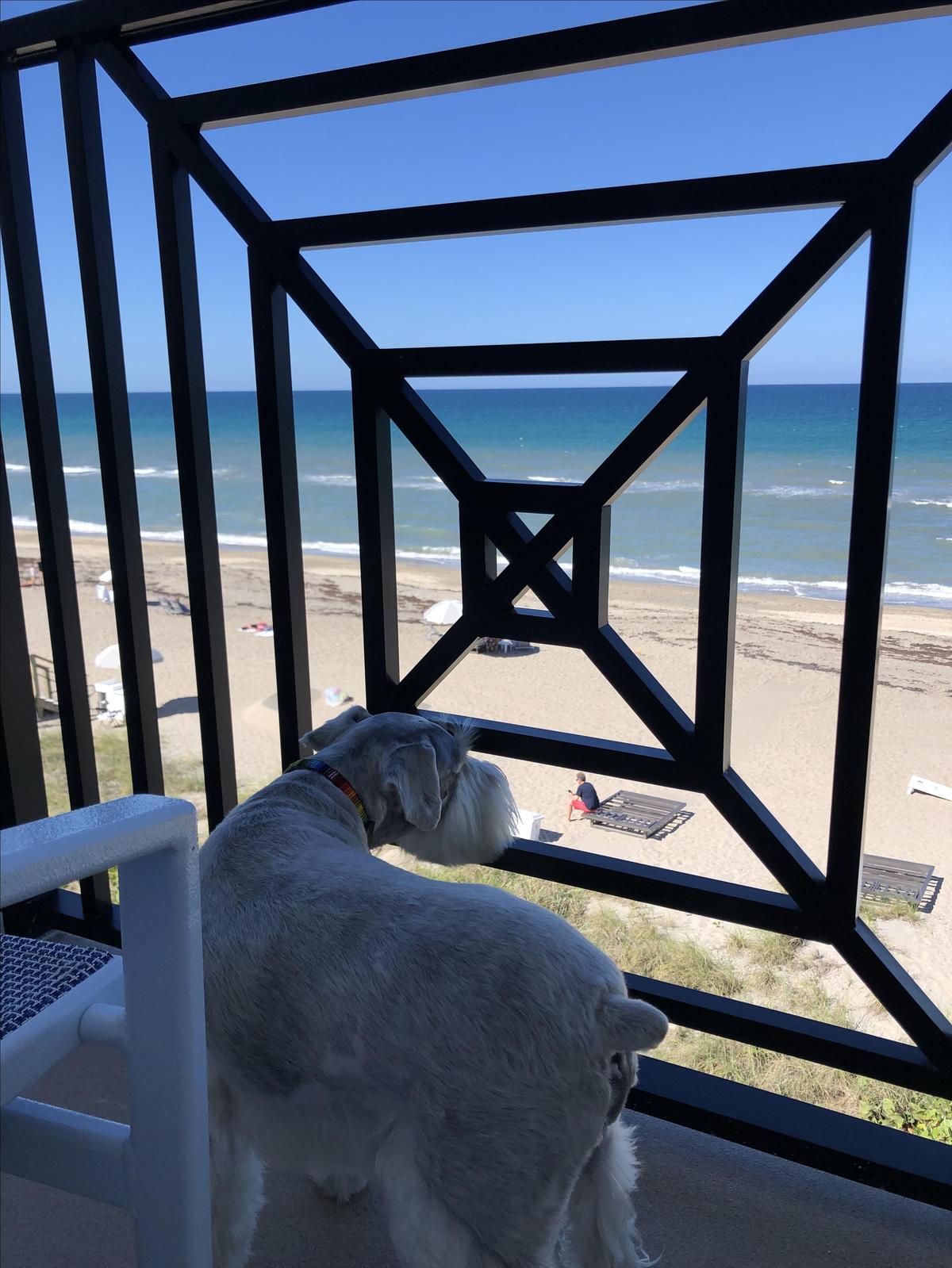 Oceanfront king view
