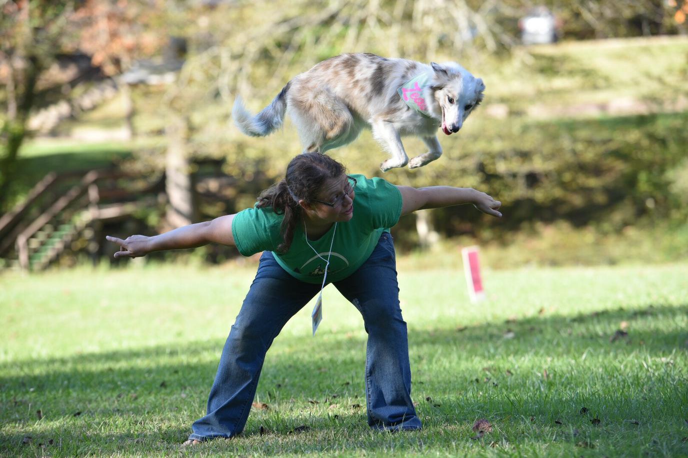 Camp Unleashed offers two pet-friendly summer camps. Camp Unleashed offers two pet-friendly summer camps.