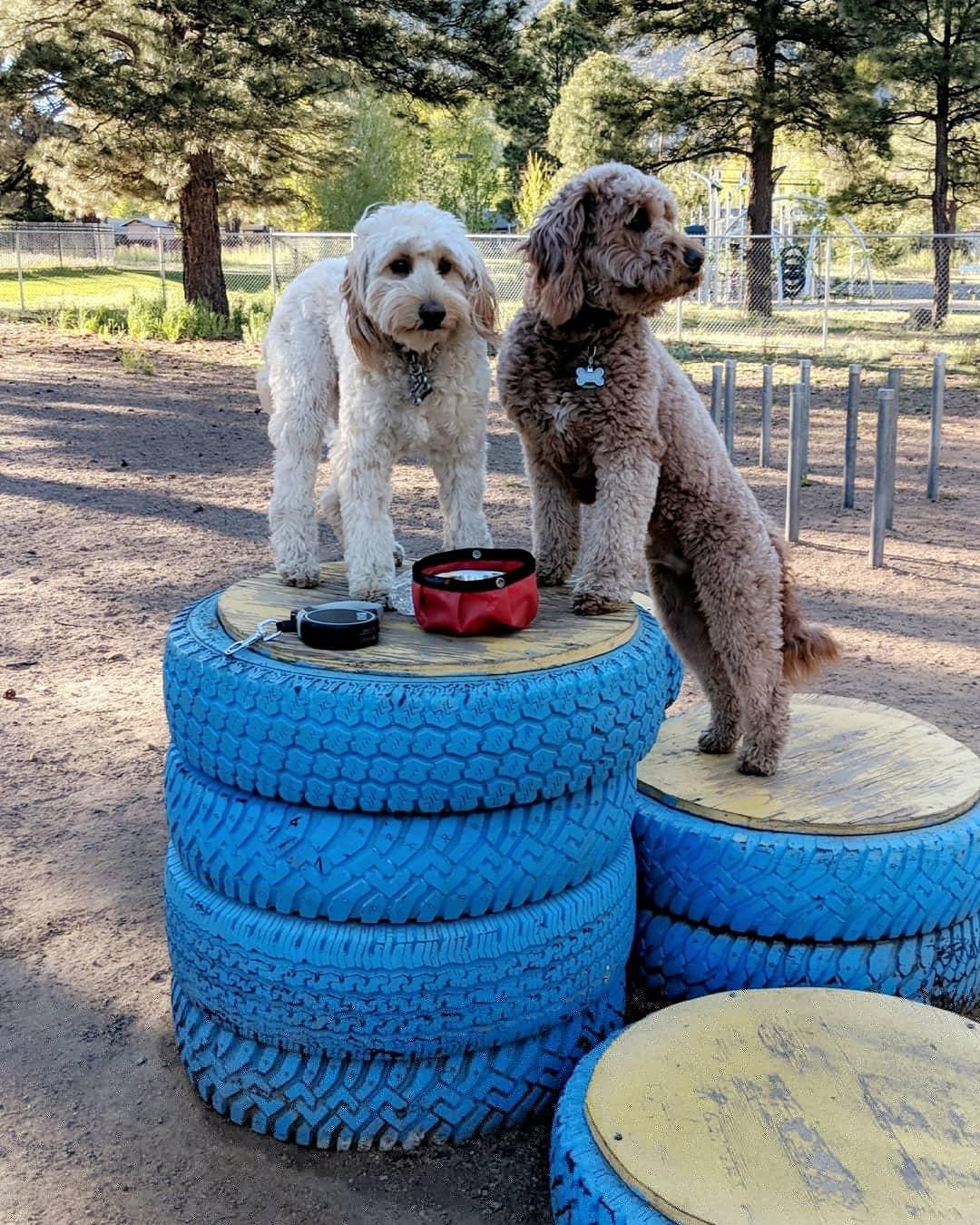Barkmaster Dog Park
