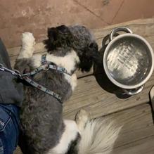 CP Schuckers Shore Dr. restaurant view 2