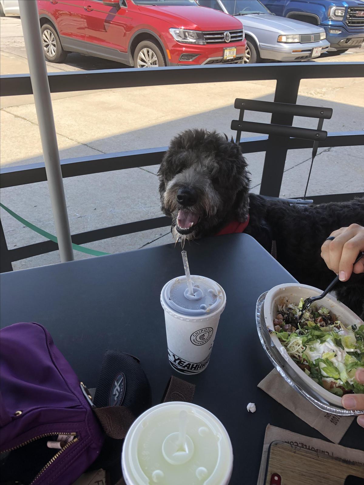 Chipotle Mexican Grill restaurant view 1