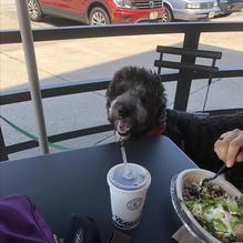 Chipotle Mexican Grill restaurant view 1