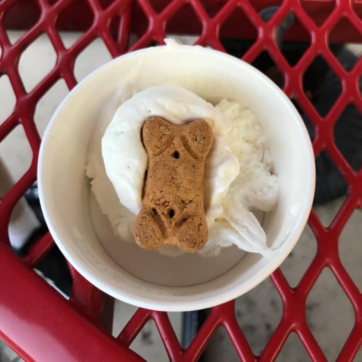 Bruster's Real Ice Cream restaurant view 2