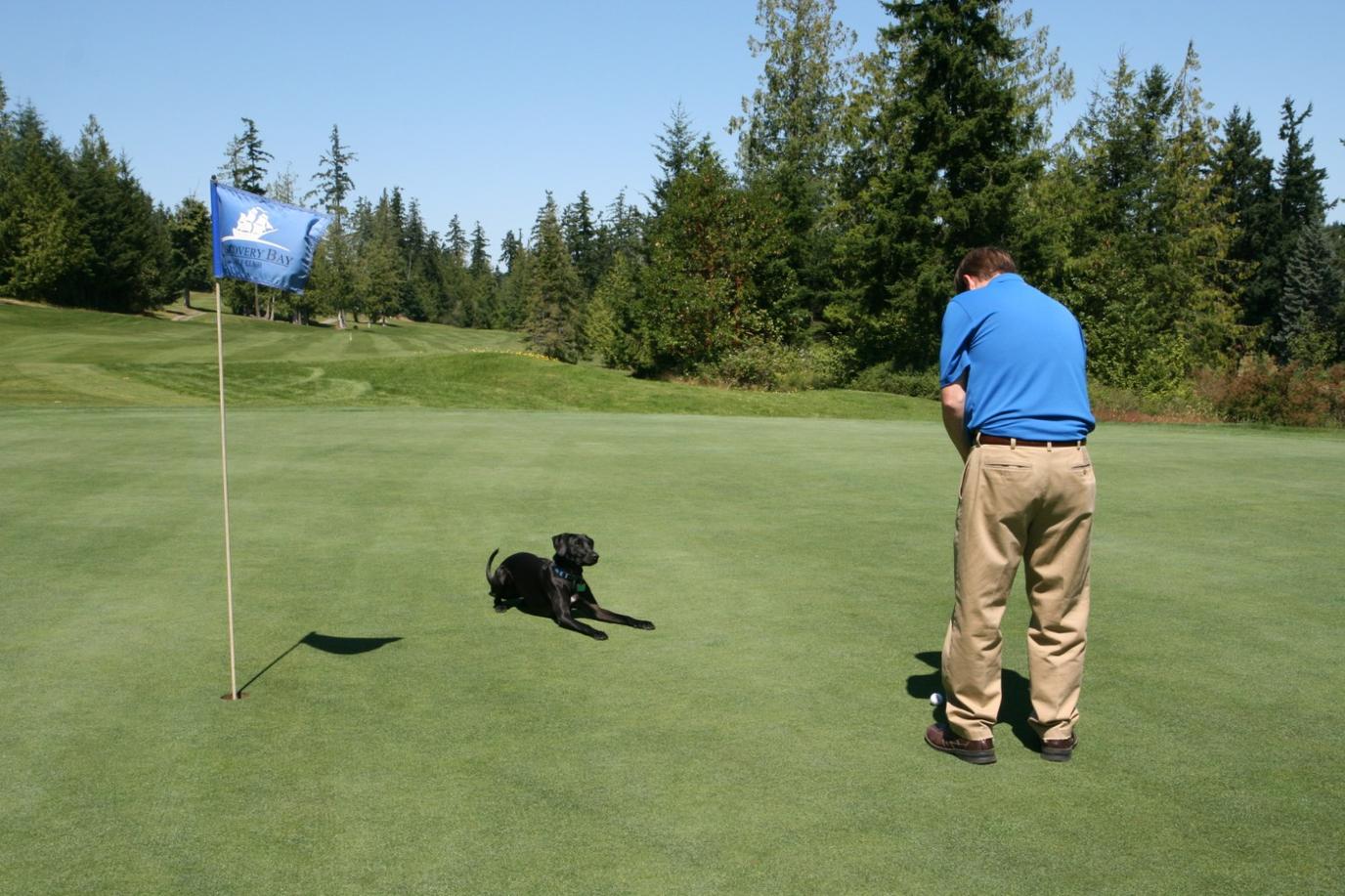 Take Dad to a dog-friendly golf course on Father's Day. A trip to a dog-friendly golf course is a pet-friendly Father's Day gift.