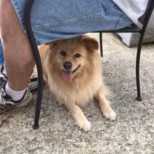 Obed & Isaac’s Microbrewery and Eatery restaurant view 9