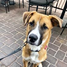 The Broken Yolk cafe restaurant view 1