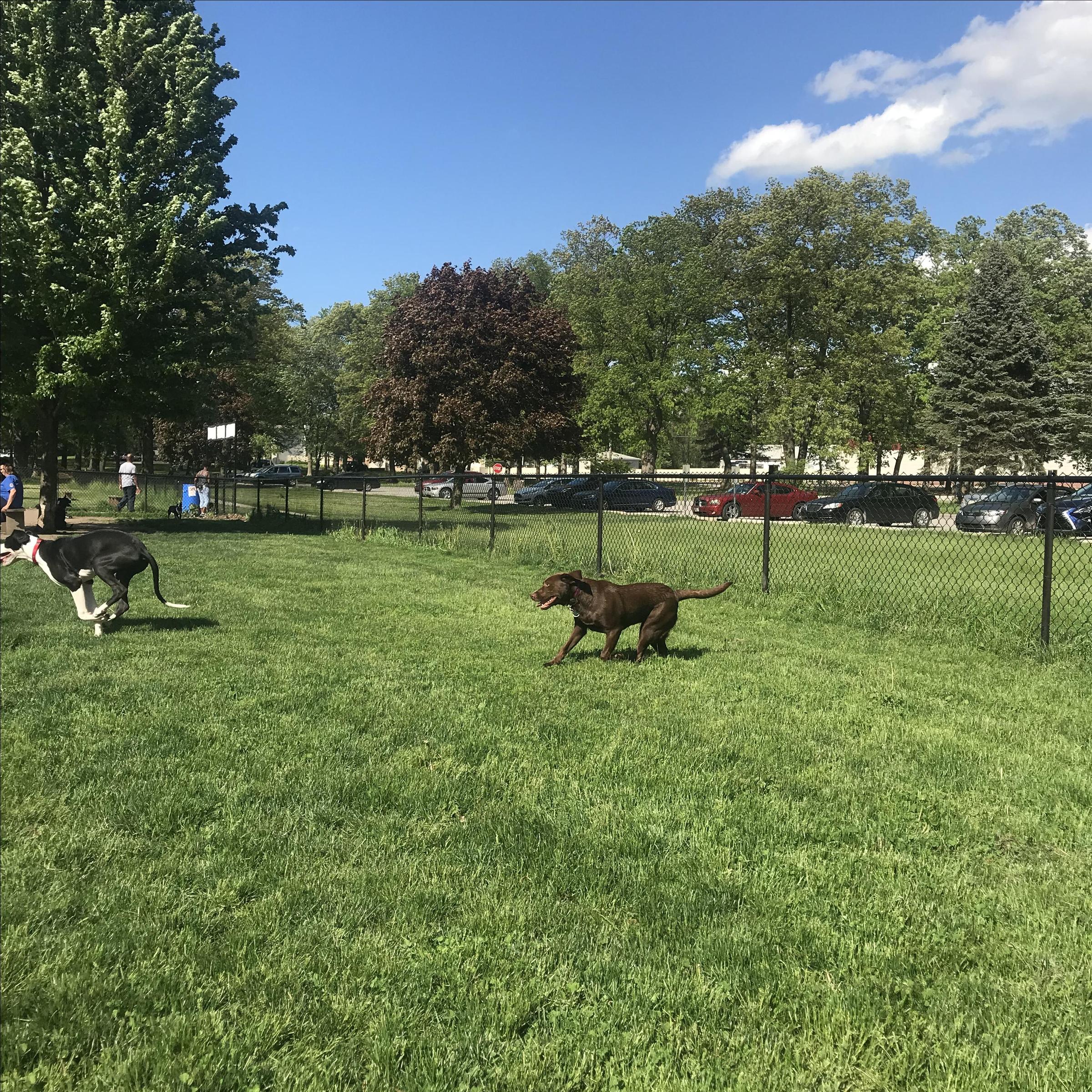 Woodland Park Dog Park ⋆ BringFido