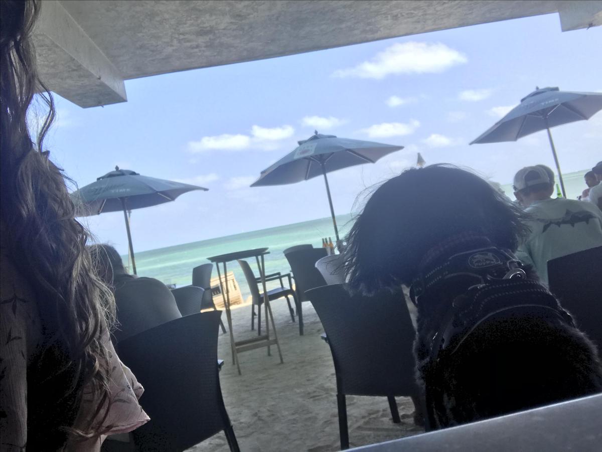 Lazy Days Restaurant restaurant view 8