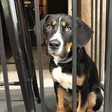 Lucky Lou's restaurant view 3