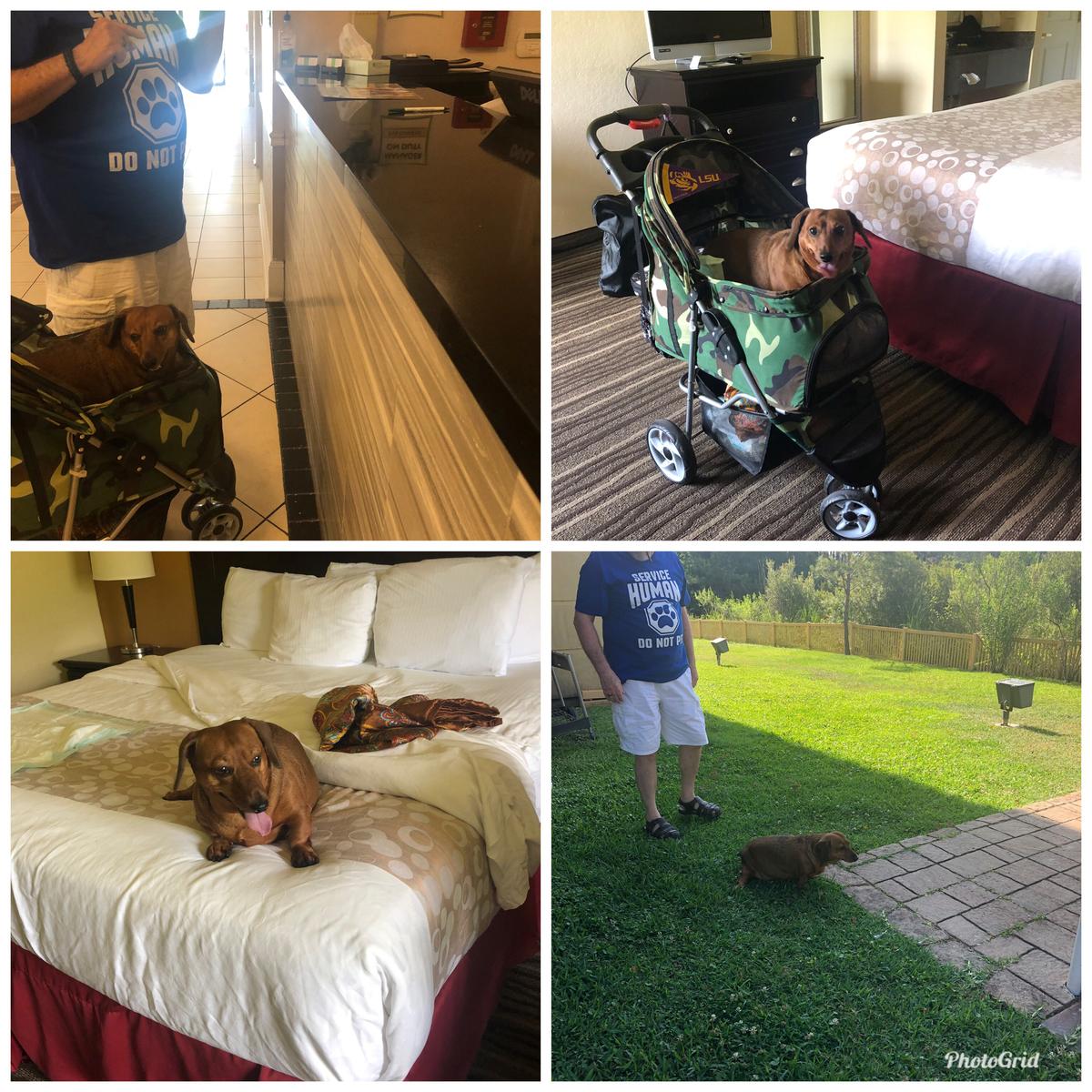 Dog Friendly Slidell, LA BringFido