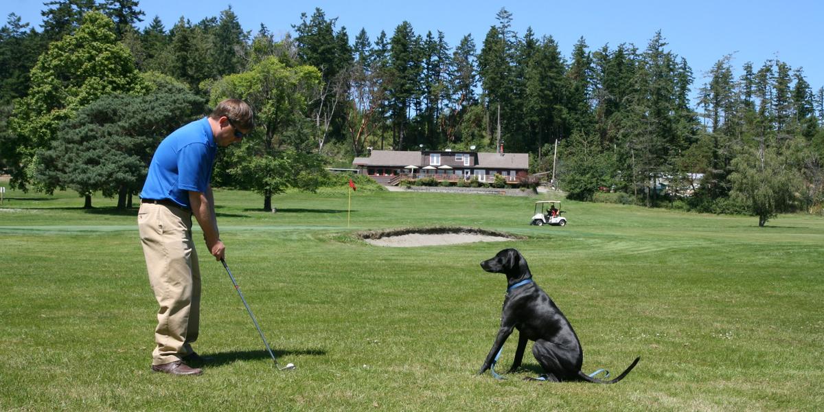 7 DogFriendly Golf Courses Around the World Bring Fido