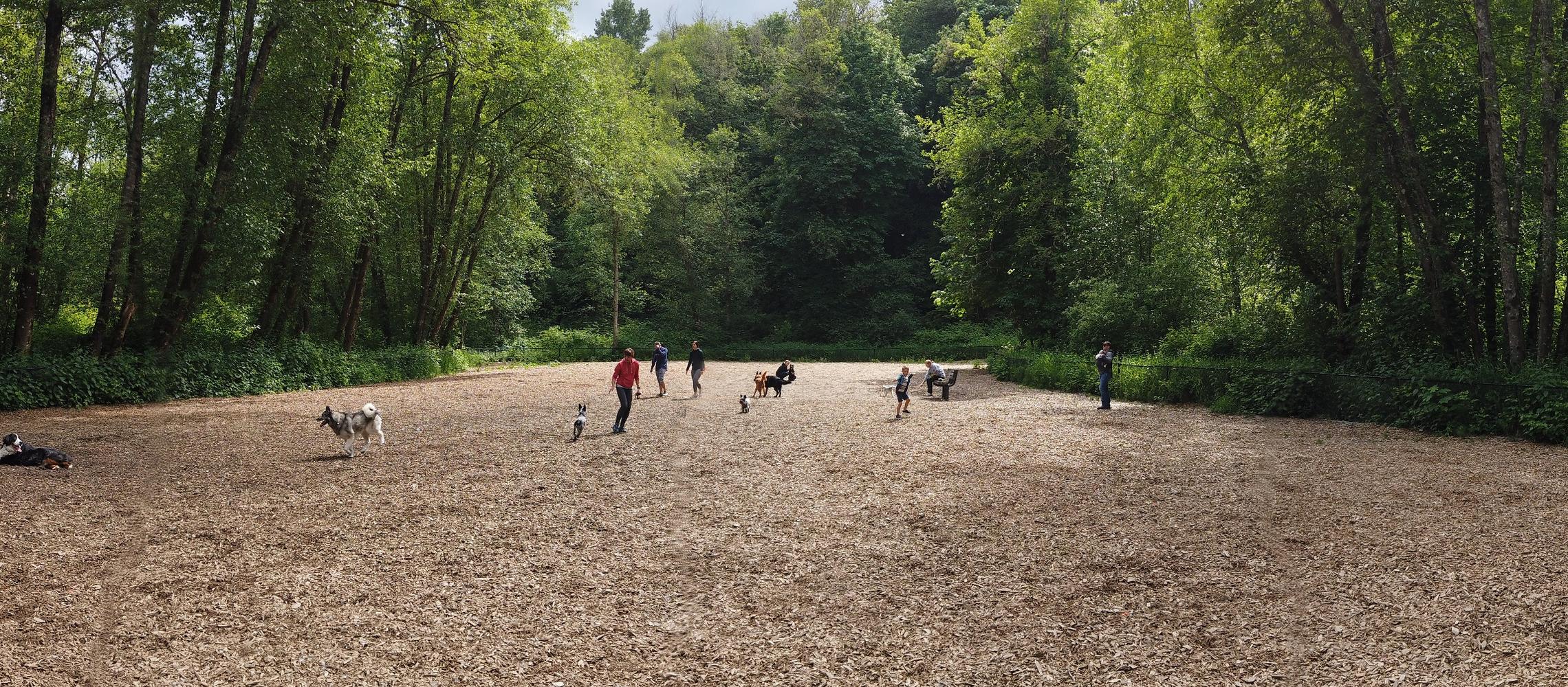 Dog Friendly Puyallup, WA