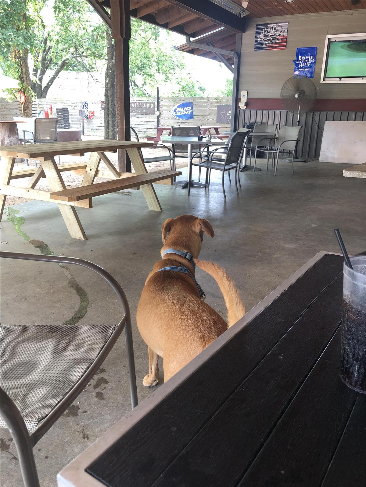 Railyard Bar & Grill restaurant view 3