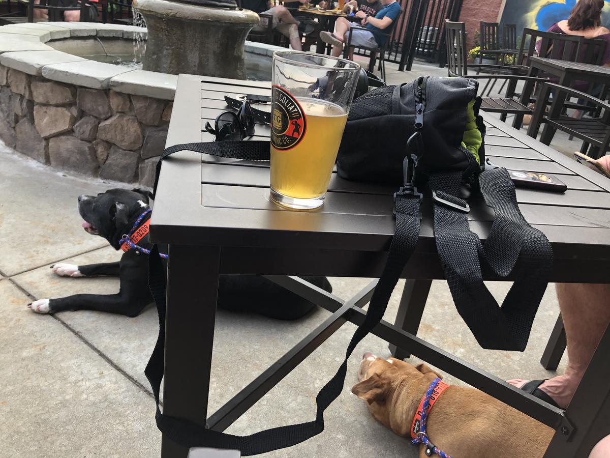 Global Brew O'Fallon restaurant view 4
