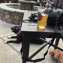 Global Brew O'Fallon restaurant view 4