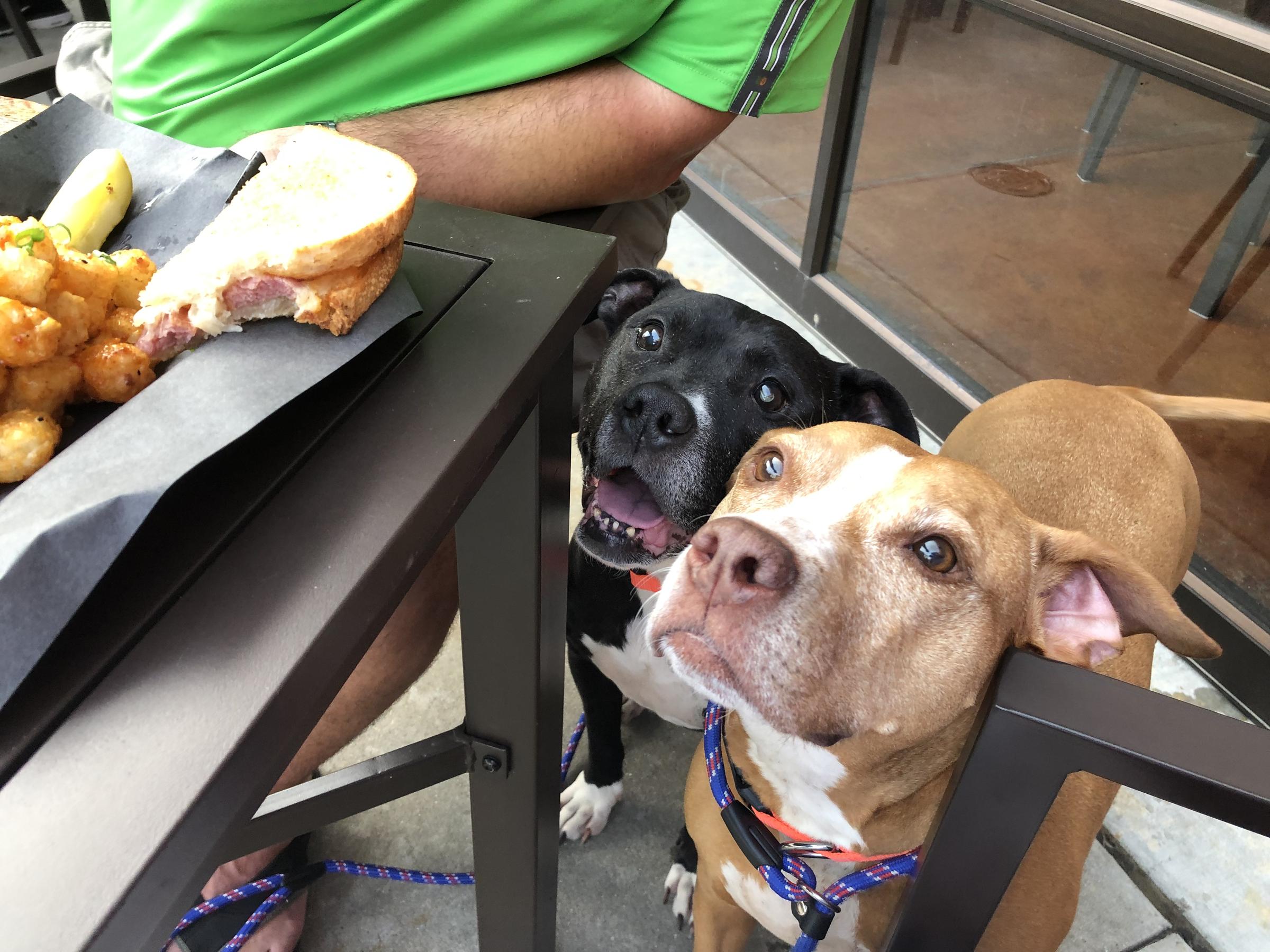 Sandwich ⋆ BringFido