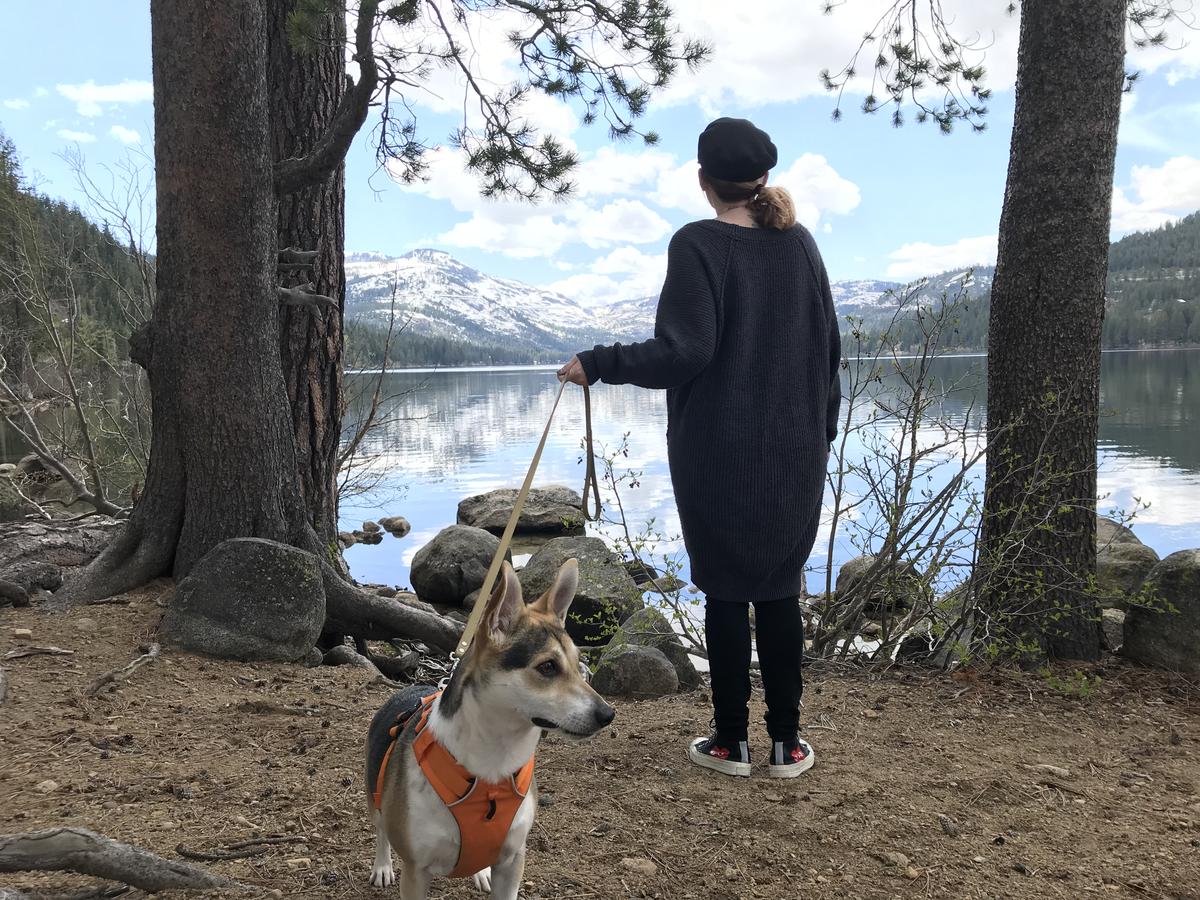 Dog friendly cheap hiking trails