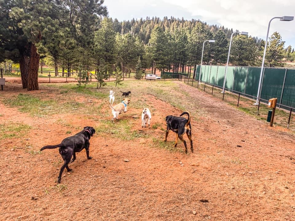 Dog Friendly Woodland Park, CO BringFido