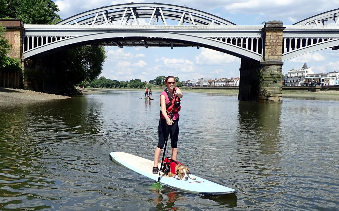 SUP in London with your dog Dogs on SUP in London