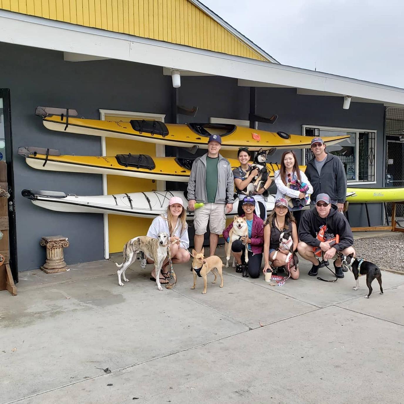 Paddleboarding with dogs in San Diego Paddleboard with pups at Aqua Adventures