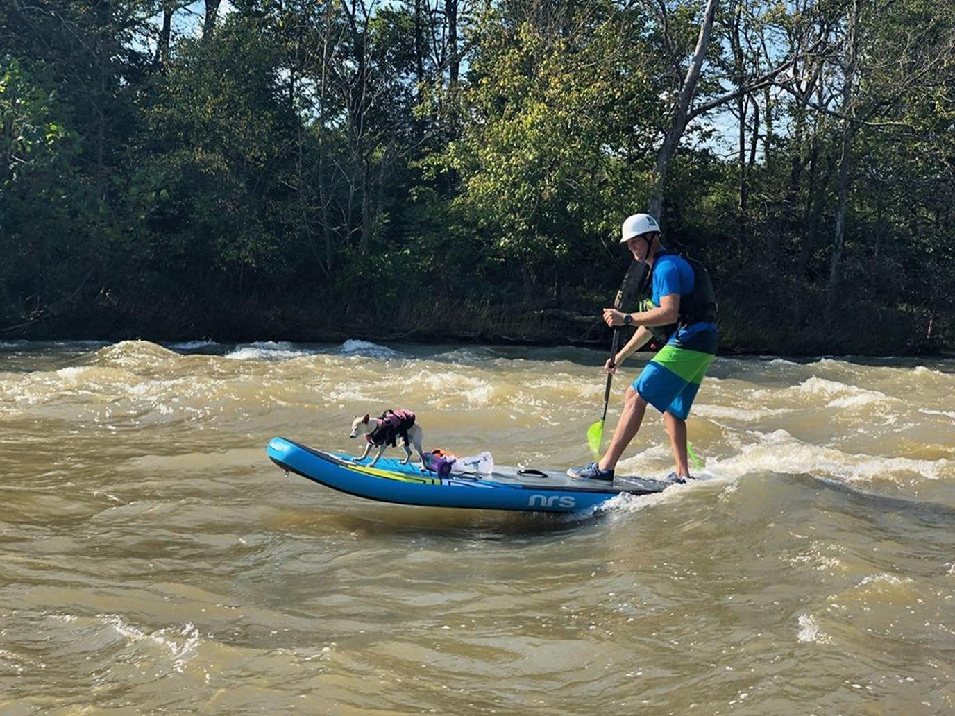 Kentucky dog-friendly paddleboarding Dog-friendly SUP in Kentucky