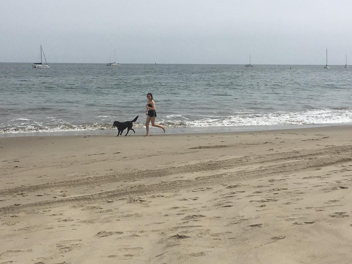 Skye enjoys the beach
