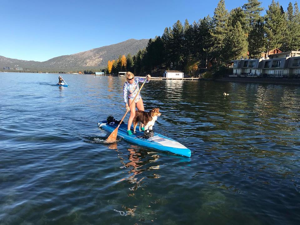 DogFriendly SUP 13 Stand Up Paddleboard Tours That Allow Dogs Bring
