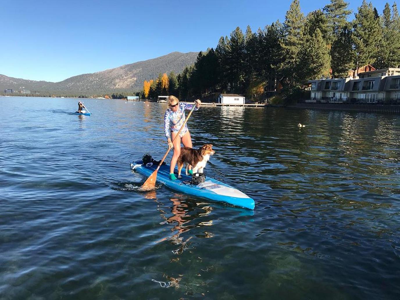 Try Dog-friendly Stand Up Paddleboarding in Lake Tahoe. Lake Tahoe is a beautiful destination for a dog-friendly SUP adventure.