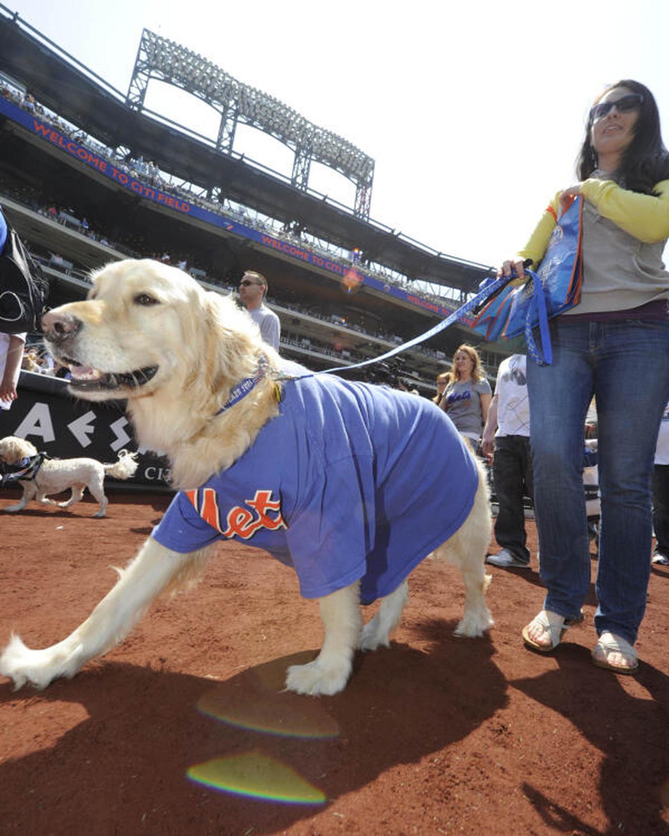 Pet-friendly NY Mets game NY Mets pet-friendly MLB