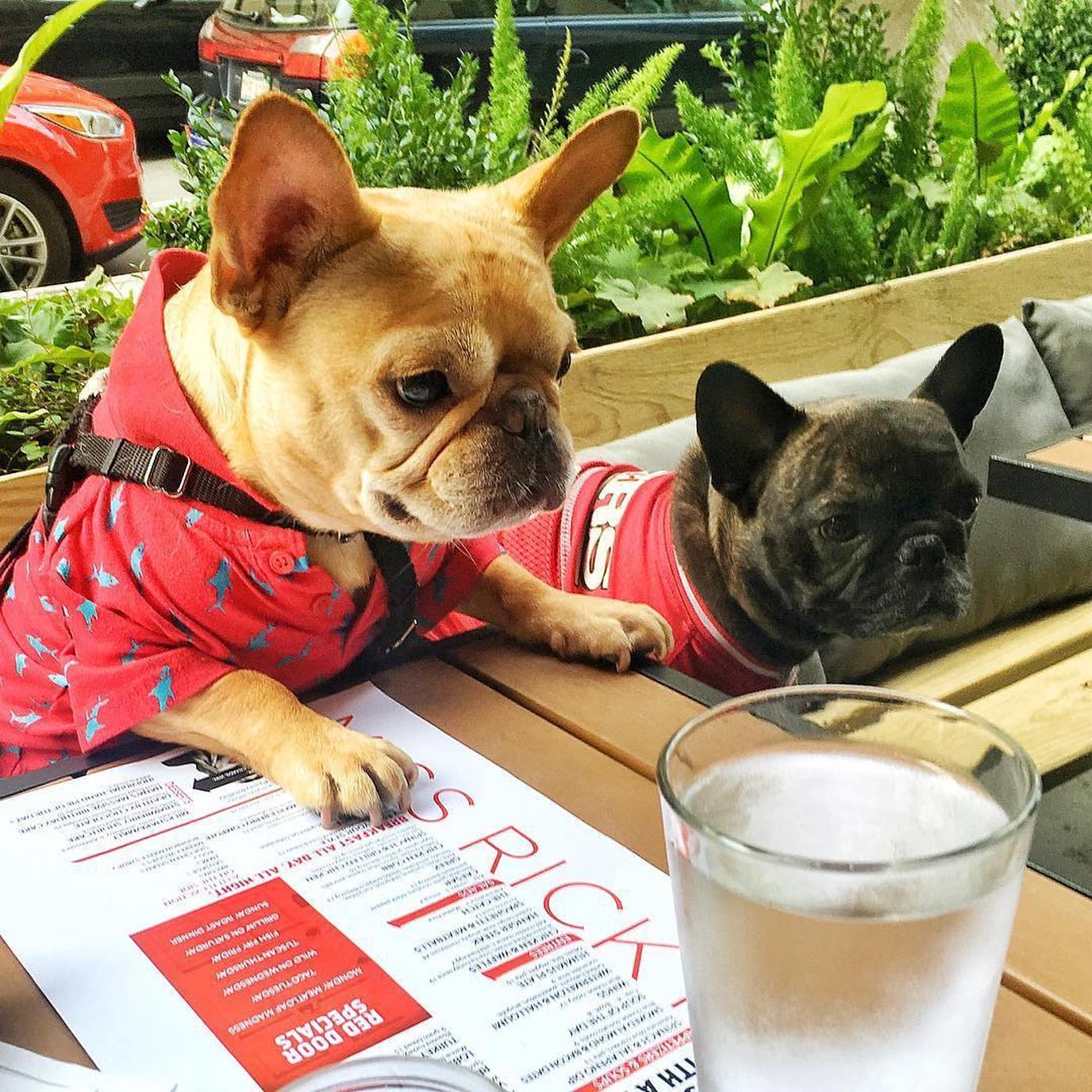 Enjoy breakfast at Miss Ricky's, a dog-friendly breakfast restaurant in Chicago. Miss Ricky's is a dog-friendly restaurant located at the Virgin Hotels Chicago.