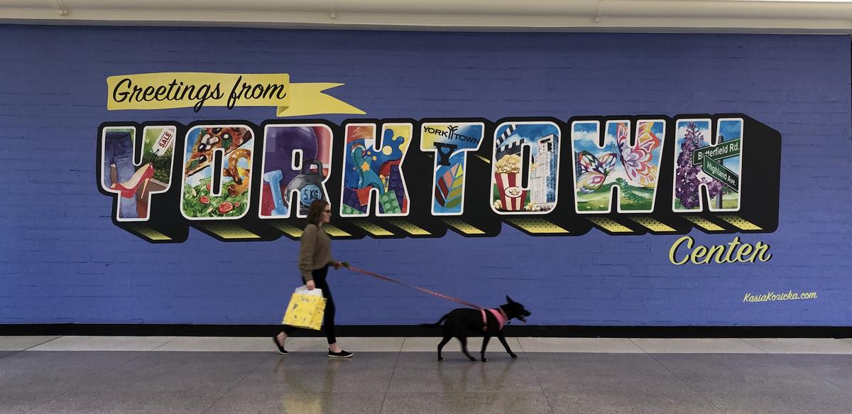 Dog friendly shopping near me outlet
