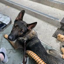 New Mongolian BBQ restaurant view 1