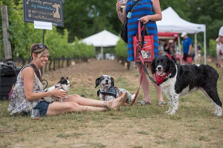 Muddy Paws is a dog-friendly festival for wine-lovers.