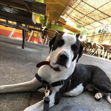 Cervecería at The Shack restaurant view 2