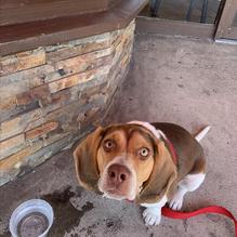 Main Kitchen Cafe restaurant view 2