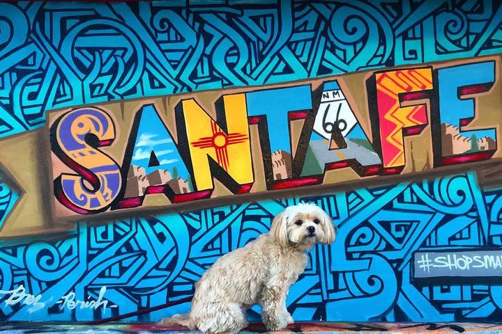 A Weekend in Dog-Friendly Santa Fe